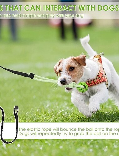  لعبة تعليق للكلاب بحبل مطاطي للاستخدام الداخلي والخارجي، لعبة شد تفاعلية بحبل