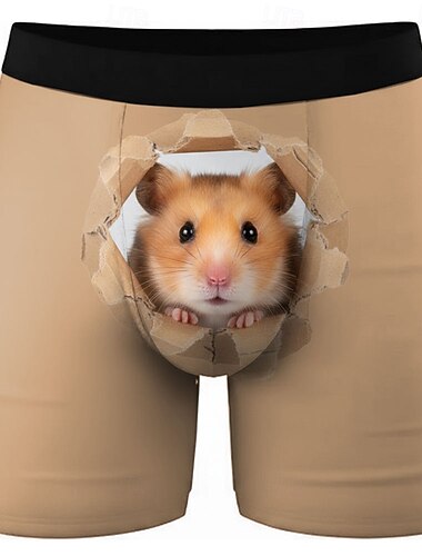  Homme Animal Hamster Boxers extensibles Caleçons de Bain Shorts de bain boxeur Drôle Occasionnel Maison Vacances à la Plage Ceinture Élastique Évacuation de l'humidité Sous-vêtements respirants