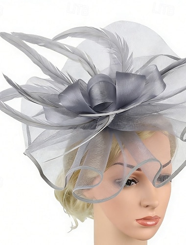  Fascinators Plumes Filet Mariage Anniversaire Élégant ancien Mignon Avec Plume Tulle Casque Couvre-chef
