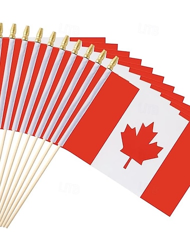  Confezione da 25 piccole bandiere canadesi portatili, mini bandiere canadesi su asta, 5x8 pollici, per partite di coppa del mondo di calcio, eventi sportivi, decorazioni per feste, tifosi che tifano