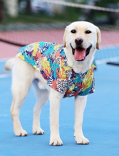  زيّ قميص هاواي للكلاب، تيشرتات صيفية رائعة للكلاب، قميص هاواي للكلاب الصغيرة والمتوسطة والكبيرة، تصميم مناسب لعطلة صيفية على طراز لواو الشاطئي