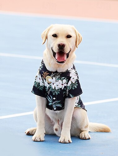  Hawaïaans shirtkostuum voor honden, coole T-shirts voor de zomer, Hawaïaans shirt voor kleine, middelgrote en grote honden, ontwerp voor een zomerse luau-stijl strandkampvakantie