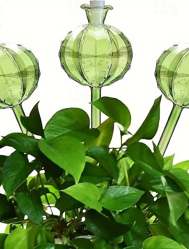  3/6 deler kaktusformet automatisk vanningssett, plastvannsballtupper, for selvvanning, sjarmerende dekorativt design, grønn