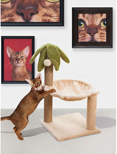  kokospalme katt klatring katteseng sisal katt pote innlegg