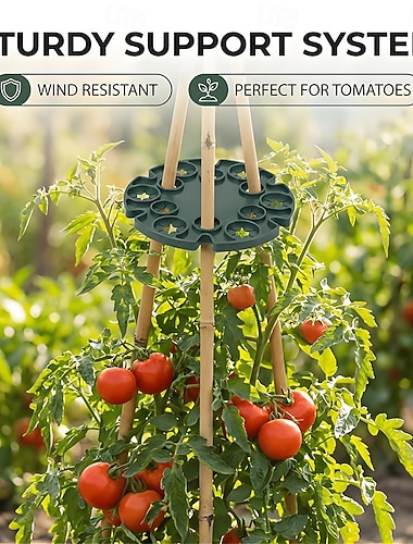  6/12 Stück Pflanzenstützpfahlhalter – preisgünstige Kunststoff-Gartenverbinderscheiben für Kletterpflanzen, verstellbarer Rankring für Tomaten, Gurken, Blumen – robuste DIY-Stabilisatoren für Pfähle