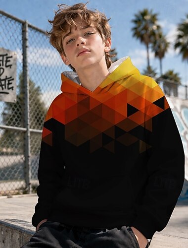  Jungen 3D Grafik Geometrisch Kapuzensweatshirt Pullover Langarm 3D-Druck Sommer Frühling Sport Mode Streetwear Kinder 4-12 Jahre Mit Kapuze Lässig Täglich Outdoor Normale Passform