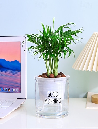  Selbstbewässernder Blumentopf, Hydrokultur-Pflanzgefäß mit Efeu, Sukkulententopf aus Harz, transparenter Orchideentopf aus Kunststoff, selbstabsorbierender Pflanzenbehälter für Zimmerpflanzen