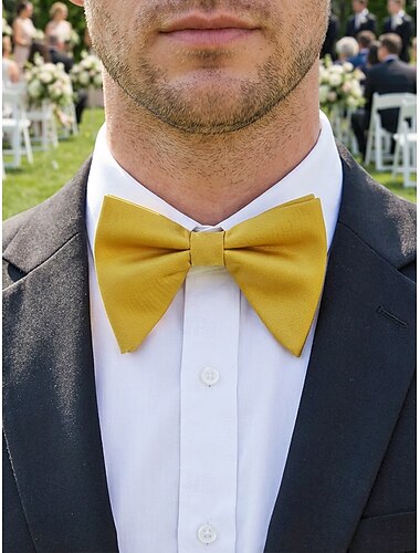  Papillon da uomo regolabile in poliestere, multicolore, accessorio formale per matrimoni, feste e cene di gala, design classico pre-annodato, adatto per matrimoni, banchetti e occasioni speciali.
