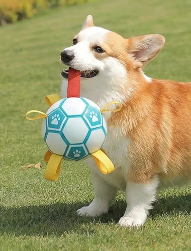  צעצוע לעיסה לכלבים עם טביעת כפות רגליים וכדורגל
