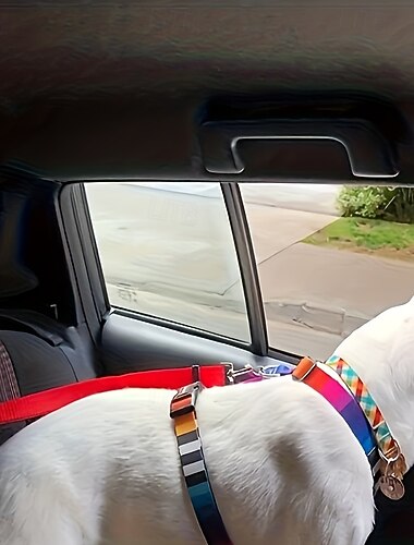 Verstelbare 2-in-1 autogordel voor honden: gebruik dit harnas en ring voor de achterbank om de veiligheid van uw huisdier op de weg te garanderen.