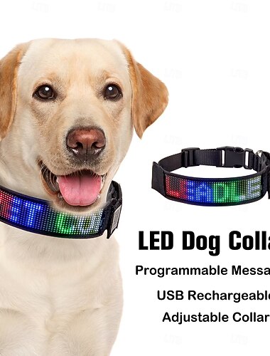  προγραμματιζόμενο κολάρο LED που αναβοσβήνει, επαναφορτιζόμενο ρυθμιζόμενο κολάρο ασφαλείας για σκύλους που λάμπει στο σκοτάδι, φωτιζόμενος βρόχος λαιμού