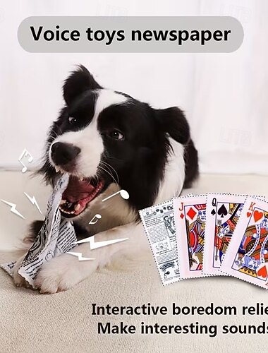  Conjunto de 10 brinquedos de pelúcia interativos para cães, com guizo e design inspirado em jornal. Brinquedo resistente para mastigar, ideal para cães de porte médio de todas as raças.