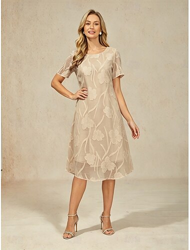  Mulheres Minivestido Vestido de turno Elegante Côr Sólida Manga Curta Gola Redonda Mink