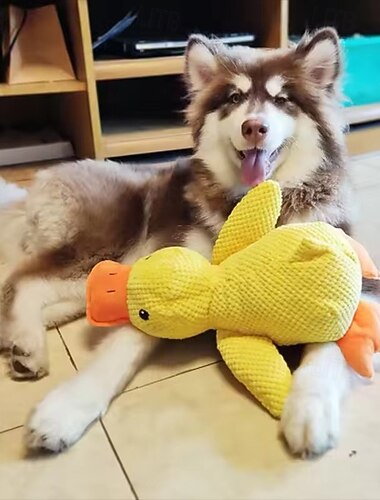  Cachorro dormindo com um patinho de pelúcia para abraçar e aliviar o tédio do pequeno patinho amarelo de estimação.