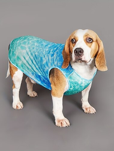  Kjæledyrkjølende sportsskjorter, hurtigtørkende vest, utendørs hundeklær til små og store hunder, sommerfrakk til katter - pustende nettingstoff - for hunder &katter - perfekt for sommeraktiviteter -