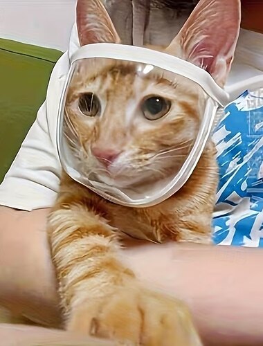  Museruola trasparente traspirante per gatti, copertura anti-morso per la toelettatura, cappuccio portatile per la testa, copri bocca per gatti, accessori regolabili per animali domestici