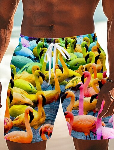  Voor heren dier Papegaai Lange zwembroeken Badpakken Zwembroeken Boardshorts Medium Taille Hawaii Dagelijks Strandvakantie Zijzakken Mesh voering Elastische tailleband met trekkoord Ontwerper Kleding