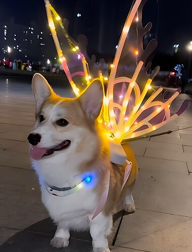  Ailes d'ange papillon lumineuses à LED, ailes magiques pour les fêtes nocturnes, adaptées aux filles, aux femmes et aux chiens. Conception sûre et facile à utiliser, fabriquée en plastique durable,