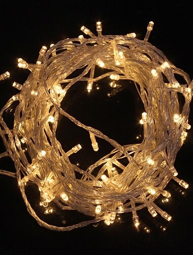 10M 9.6W Flash 100-LED Warm WhiteCool White Light Strip Light Lamp Christmas light string (EU Plug , AC 220V)