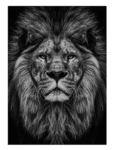 kunst aan de muur canvas prints dieren woondecoratie decor opgerold canvas geen frame niet ingelijst niet uitgerekt