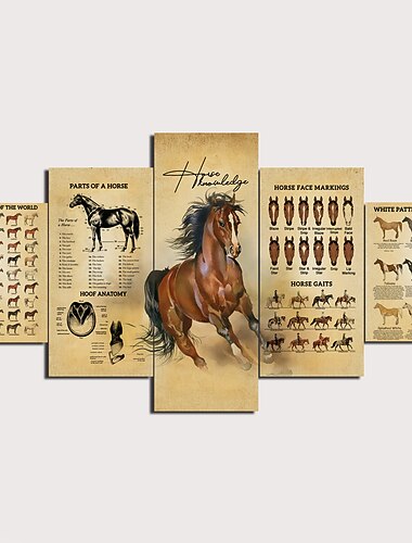  5 Panels Wandkunst Leinwanddrucke Malerei Kunstwerk Bild Pferd Malerei Heimtextilien Dekor gerollte Leinwand kein Rahmen ungerahmt ungedehnt
