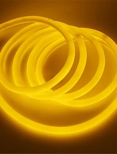 1m 2m 3M Neon stripverlichting 150 LEDs Flexibele neon Warm wit Wit Rood LED-Striplampen Creatief Voor buiten Waterbestendig 220-240 V