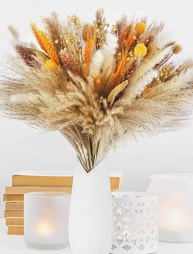 Sada dekorů pampové trávy - přírodní sušené květiny pro kutilské aranžmá, netoxická domácnost  & svatební výzdoba, použití bez el
