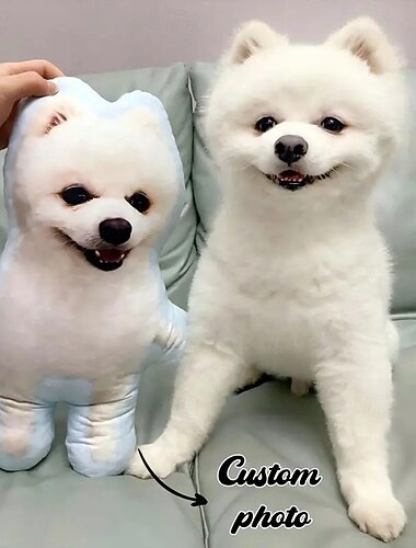 Coussin mémorial pour animal de compagnie personnalisé - Doux Cuddly Imprimé recto verso Lavable à la main Design contemporain Fermeture éclair Rempli de coton Coussin décoratif toutes saisons pour