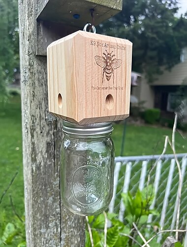 1pc Premium Natural Wooden Carpenter Bee Trap - Outdoor Hanging, Box Style Insect Trap