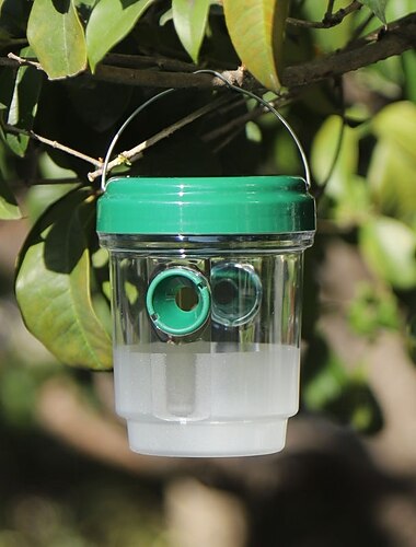 Trampas de plástico para abejas, botella para atrapar insectos, atrapamoscas para interiores y exteriores, ideal para plantas de cocina, árboles, insectos voladores y control de plagas.