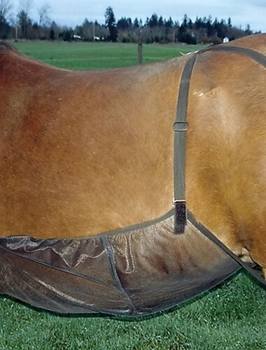 Masque anti-mouches pour chevaux Equistar 1 pièce avec maille respirante - filet abdominal équin résistant aux rayures pour la protection contre les insectes - protection confortable contre les