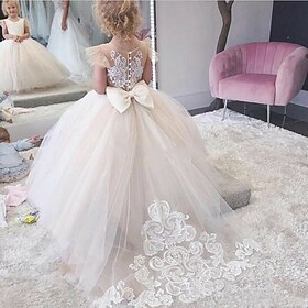 Flower Girl Dress Girls' First Communion Dress Party Dress Performance Wedding Party Princess Sweet Mesh Solid Color Sleeveless Crew Neck White Champagne 2-12