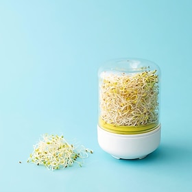 Countertop Sprouter Growing Kit, Home Made Fresh Bean Sprouts, Bean Sprouts Making Countertop Bean Sprouts