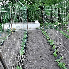 planteespaliernett, kraftig polyestervekstnett, hagespaliernett med firkantet netting for klatreplanter, grønnsaker, frukt og blomster