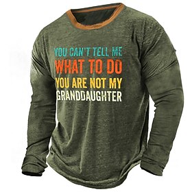 Letter Designer Retro Vintage Men's 3D Print T shirt Tee Graphic Tee Outdoor Daily Vacation T shirt Blue Brown Green Long Sleeve Crew Neck Shirt Spring   Fall