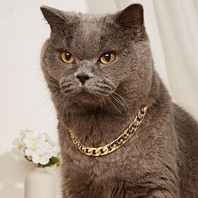 huisdier ketting kat ketting leuke originele trend hondenketting