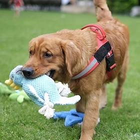 Jouets de mastication Peluches Jouet interactif Jouet de grincement avec Durable Relâcher la pression Dressage d'animaux Jouet de corde de dentition Jouet de d