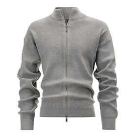 Men's Cropped  Sweater Cardigan Sweater Zip Sweater Knit Sweater Ribbed Knit Regular Solid Color Stand Collar Fashion Classic Daily Wear Date Clothing Apparel