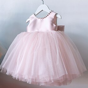 Flower Girl Dress Kid's Girls' Princess Dress Performance Wedding Party Elegant Beautiful Mesh Solid Color Sleeveless Crew Neck White Champagne 4 years
