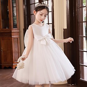 Flower Girl Dress Kid's Girls' Princess Dress Performance Wedding Party Elegant Beautiful Mesh Solid Color Sleeveless Crew Neck White Pink 4 years