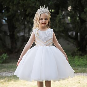 Flower Girl Dress Kid's Girls' Princess Dress Performance Wedding Party Elegant Beautiful Mesh Solid Color Sleeveless Crew Neck White Champagne 4 years