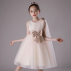 Flower Girl Dress Kid's Girls' Princess Dress Performance Wedding Party Elegant Beautiful Mesh Solid Color Sleeveless Crew Neck White Champagne 4 years