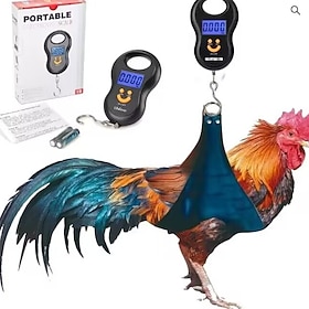 Electronic Weighing…