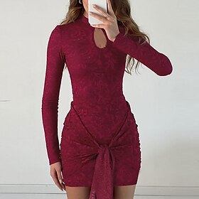 Women's Mini Dress Lace Dress Party Dress Cocktail Dress Bodycon Dress Elegant Fashion Modern Party Evening Party Cocktail Party Regular Fit Floral Plain Long