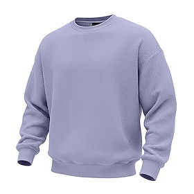 Men's Sweatshirt Waffle Sweatshirt Pullover Hoodie Sweatshirt White Apricot Light Green Wine Navy Blue Crew Neck Plain Textured Casual Daily Sports Outdoor St
