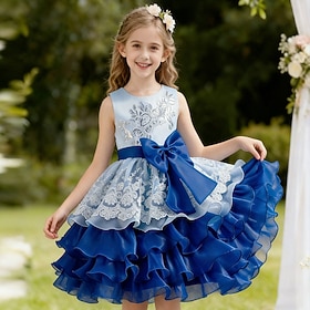 Abito da damigella d'onore bambina Ragazze Abito formale Abiti da sposa Feste Matrimonio Formale Moda Bello Dolce Pizzo Rete Senza Maniche Girocollo Blu Rosso