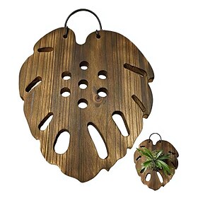 Fern Mounting Board, Hexagon Hanging Wood Base with Pre-drilled Holes for Vertical Garden, Sturdy Chinese Fir Plant Holder for Epiphytic Plants, Wall Decor