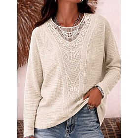 Women's Eyelet Top Lace Splicing Top Lace Elegant Bohemia Ethnic Long Sleeve Crew Neck Regular Tops Casual Daily Going out Beige Spring Fall