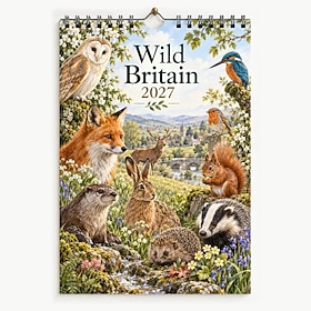 Wild Britain 2027 Wall Calendar, British Wildlife Calendar Featuring Foxes, Owls, Deer, Rabbits, Squirrels, Badgers  Hedgehogs, Scenic Nature Monthly Planner f