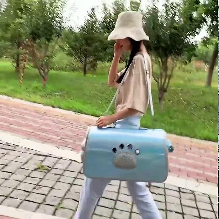 play video